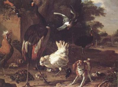 Melchior de Hondecoeter Birds and a Spaniel in a Garden (mk25)